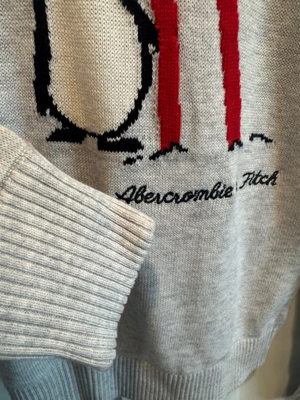 Abercrombie & Fitch Ski Penguin Sweater Gray Crewneck